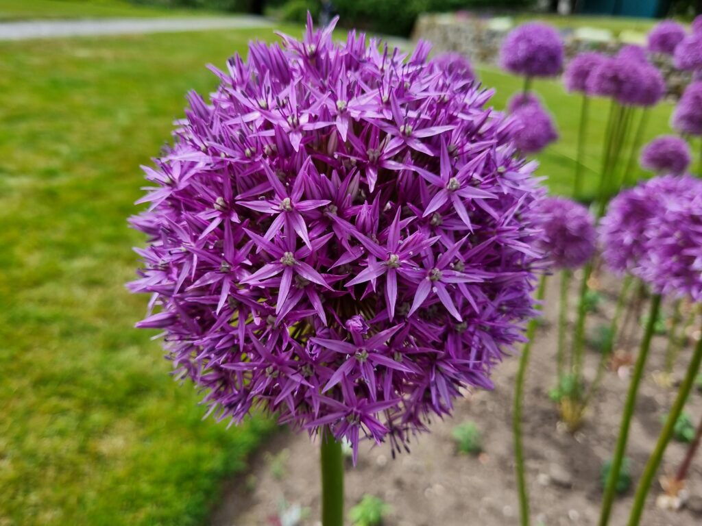 cc ecobulbs.nl