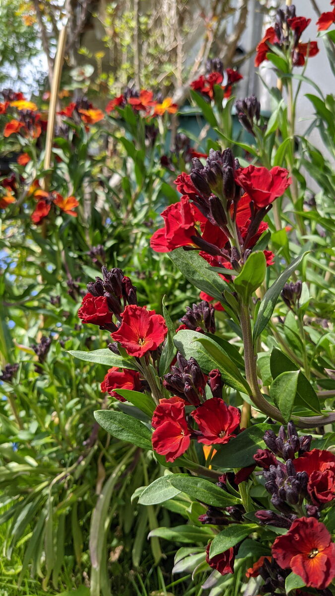 cc Maio31/Christian Urban