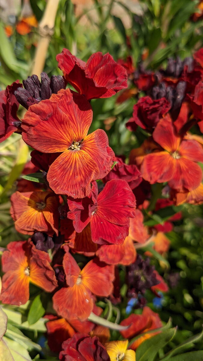 cc Maio31/Christian Urban