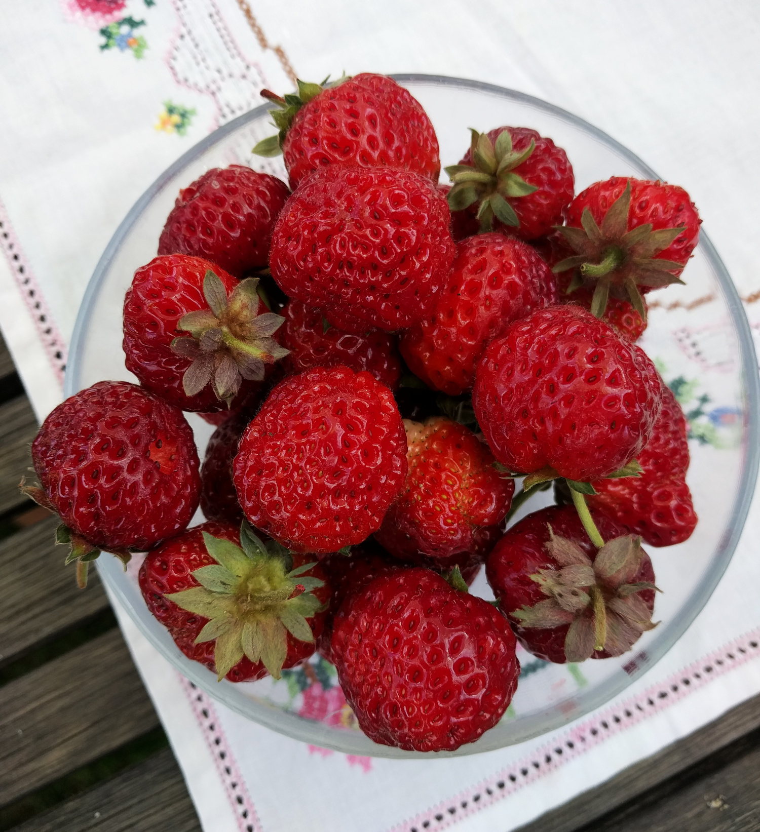 Erdbeeren, Erdbeeren, Erdbeeren - pflegen &amp; pflanzen im August ...